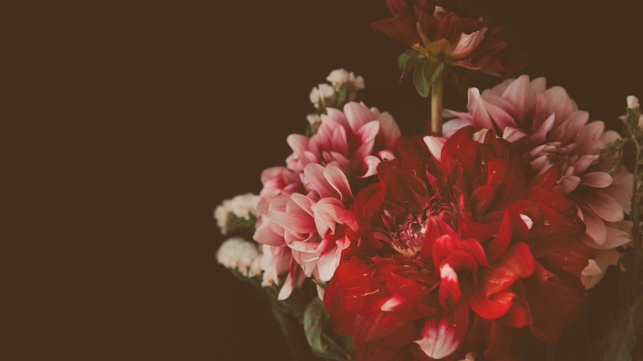 right, colorful flowers on a dark background symbolizing self-love, growth, and inner strength—perfect for a Valentine’s Day reflection on embracing your worth.